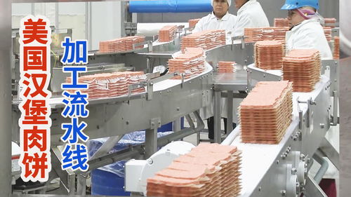 美国汉堡肉饼农产品加工厂,牛肉流水线搅碎压制快餐肉饼